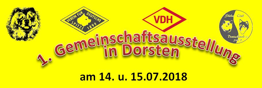 Dorsten001